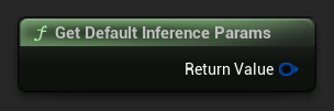Get Default Inference Params